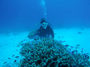 沖縄　ダイビング　慶良間　体験ダイビング　自社船