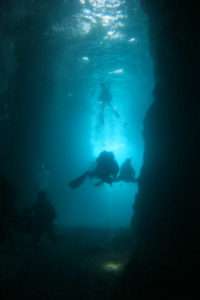 沖縄　沖縄本島　西海岸　恩納村　真栄田　ダイビング　ボートダイビング　ファンダイビング