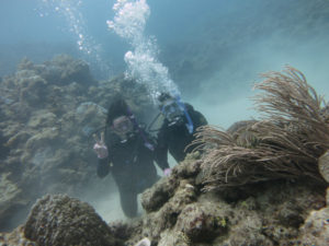 沖縄　慶良間　慶良間諸島　ダイビング　ボートダイビング　ファンダイビング　自社船　体験ダイビング