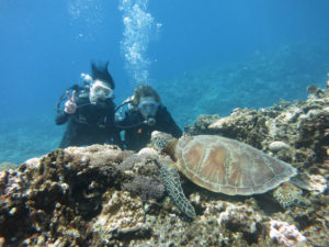 沖縄　慶良間　慶良間諸島　ダイビング　ボートダイビング　ファンダイビング　自社船　体験ダイビング