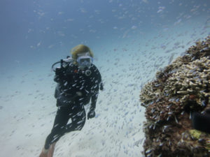 沖縄　慶良間　慶良間諸島　ダイビング　ボートダイビング　ファンダイビング　自社船　体験ダイビング