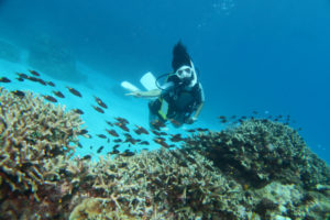 沖縄　慶良間　慶良間諸島　ダイビング　ボートダイビング　ファンダイビング　自社船　