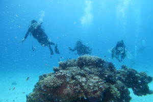 沖縄　慶良間　慶良間諸島　ダイビング　ボートダイビング　ファンダイビング　自社船　