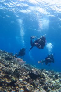 沖縄　慶良間　慶良間諸島　ダイビング　ボートダイビング　ファンダイビング　自社船　体験ダイビング