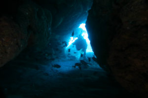 沖縄　慶良間　慶良間諸島　ダイビング　ボートダイビング　ファンダイビング　自社船　体験ダイビング