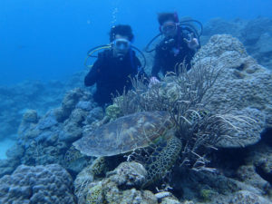 沖縄　慶良間　慶良間諸島　ダイビング　ボートダイビング　ファンダイビング　自社船　体験ダイビング