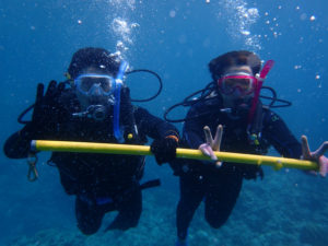 沖縄　慶良間　慶良間諸島　ダイビング　ボートダイビング　ファンダイビング　自社船　体験ダイビング