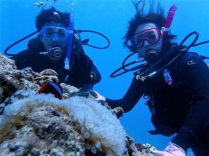 沖縄　慶良間　慶良間諸島　ダイビング　ボートダイビング　ファンダイビング　自社船　体験ダイビング
