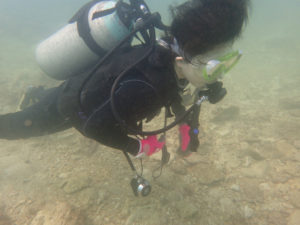 沖縄　北谷　砂辺　ボートダイビング　ダイビング　OW講習　PADI　ビーチダイビング