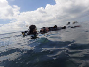 沖縄　北谷　砂辺　ボートダイビング　ダイビング　OW講習　PADI　ビーチダイビング