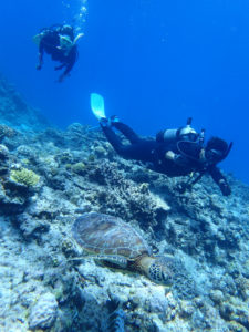 沖縄　慶良間　慶良間諸島　ダイビング　ボートダイビング　PADI　OW講習　ライセンス