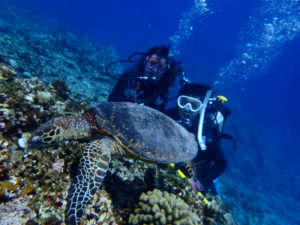 沖縄　慶良間　慶良間諸島　ダイビング　ボートダイビング　ファンダイビング　自社船　　体験ダイビング