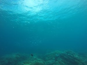 沖縄　北谷　砂辺　宮城海岸　ダイビング　ビーチダイビング　体験ダイビング