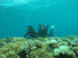 沖縄　北谷　砂辺　宮城海岸　ダイビング　ビーチダイビング　体験ダイビング