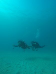 沖縄　崎本部　ゴリラチョップ　ダイビング　ビーチダイビング　ファンダイビング