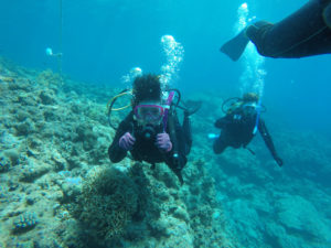 沖縄　慶良間　慶良間諸島　ダイビング　ボートダイビング　ファンダイビング　自社船　体験ダイビング