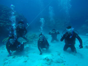 沖縄　慶良間　慶良間諸島　ダイビング　ボートダイビング　ファンダイビング　自社船　体験ダイビング