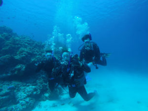 沖縄　慶良間　慶良間諸島　ダイビング　ボートダイビング　ファンダイビング　自社船　体験ダイビング