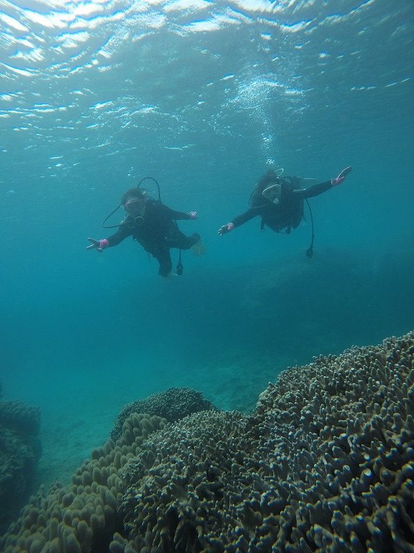 沖縄　崎本部　ゴリラチョップ　ダイビング　ビーチダイビング　体験ダイビング