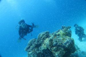 沖縄　慶良間　慶良間諸島　ダイビング　ボートダイビング　ファンダイビング　自社船　体験ダイビング