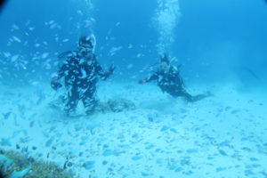 沖縄　慶良間　慶良間諸島　ダイビング　ボートダイビング　ファンダイビング　自社船　