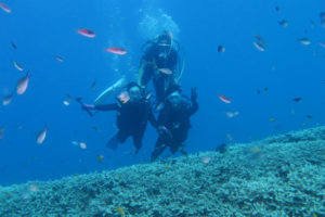 沖縄　慶良間　慶良間諸島　ダイビング　ボートダイビング　ファンダイビング　自社船　体験ダイビング