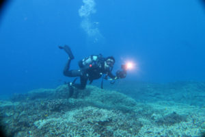 沖縄　慶良間　慶良間諸島　ダイビング　ボートダイビング　ファンダイビング　自社船　体験ダイビング