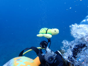 沖縄　慶良間　慶良間諸島　ダイビング　ボートダイビング　ファンダイビング　自社船　