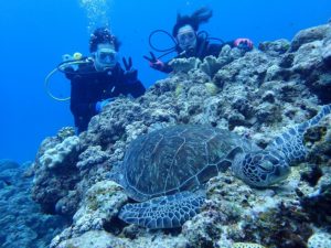 沖縄　ダイビング　慶良間　体験ダイビング　自社船