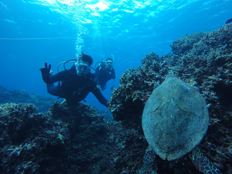 沖縄　慶良間　慶良間諸島　ダイビング　ボートダイビング　ファンダイビング　自社船　体験ダイビング