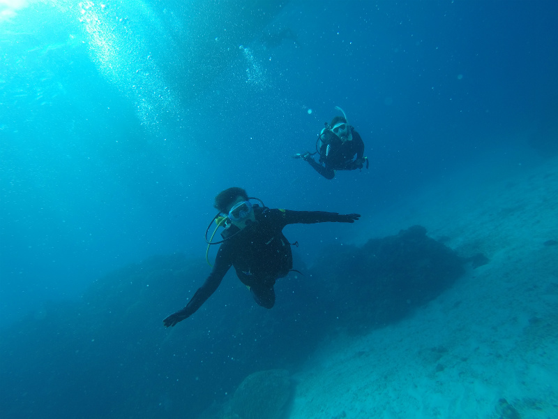 沖縄　慶良間　慶良間諸島　ダイビング　ボートダイビング　ファンダイビング　自社船　体験ダイビング