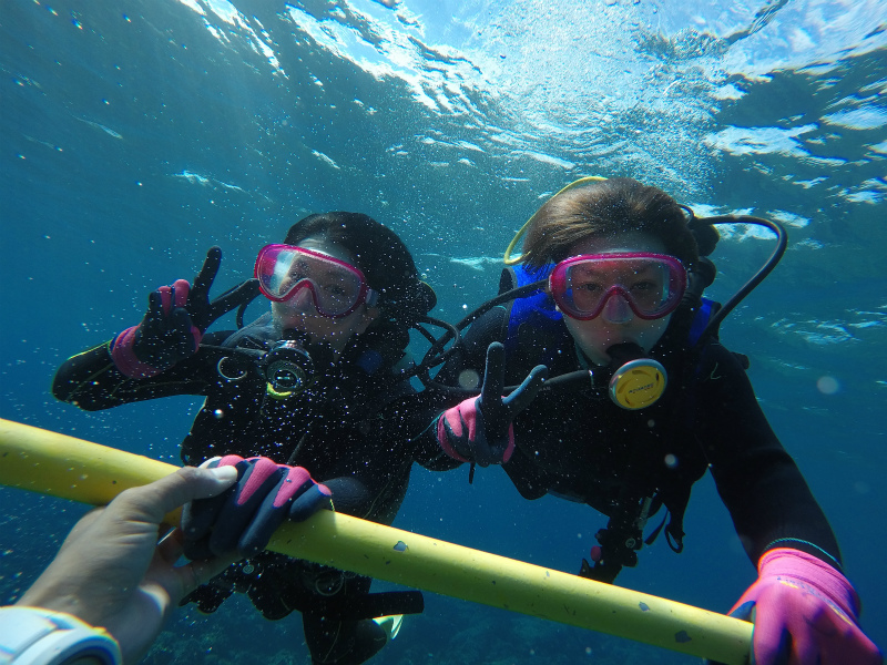 沖縄　慶良間　慶良間諸島　ダイビング　ボートダイビング　ファンダイビング　自社船　体験ダイビング