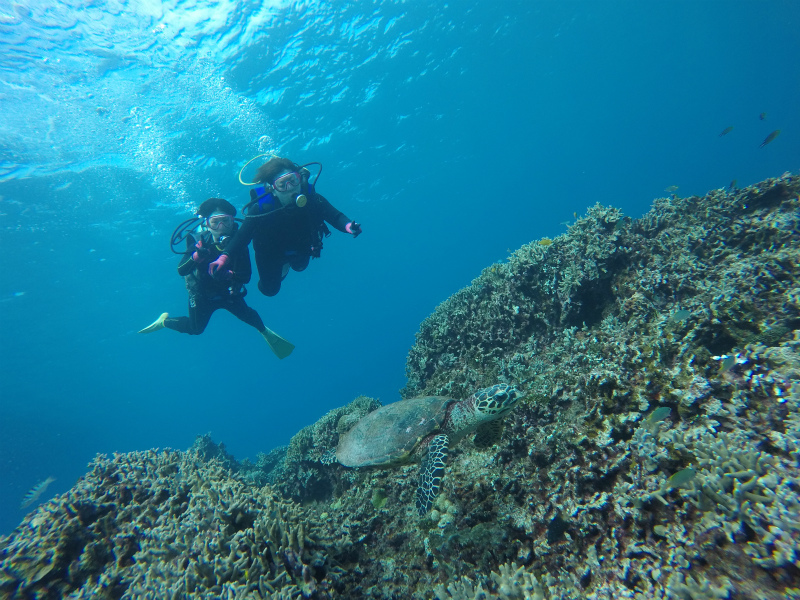 沖縄　慶良間　慶良間諸島　ダイビング　ボートダイビング　ファンダイビング　自社船　体験ダイビング