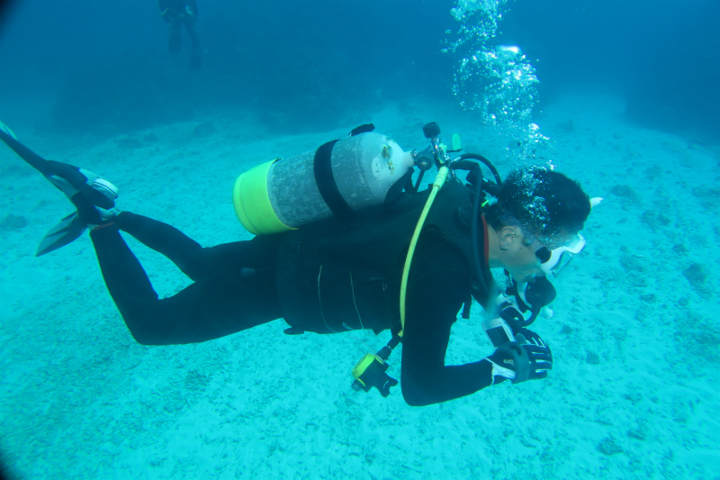 沖縄　慶良間　慶良間諸島　ダイビング　ボートダイビング　ファンダイビング　自社船　AOW　PADI　講習沖縄　慶良間　慶良間諸島　ダイビング　ボートダイビング　ファンダイビング　自社船　AOW　PADI　講習