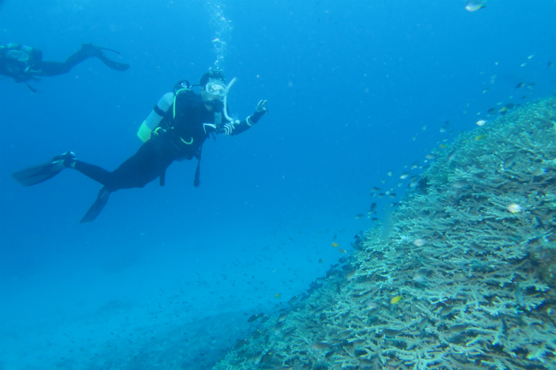 沖縄　慶良間　慶良間諸島　ダイビング　ボートダイビング　ファンダイビング　自社船　AOW　PADI　講習