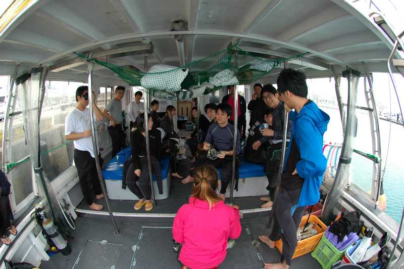 沖縄　慶良間　慶良間諸島　ダイビング　ファンダイビング　体験ダイビング　ボートダイビング　自社船