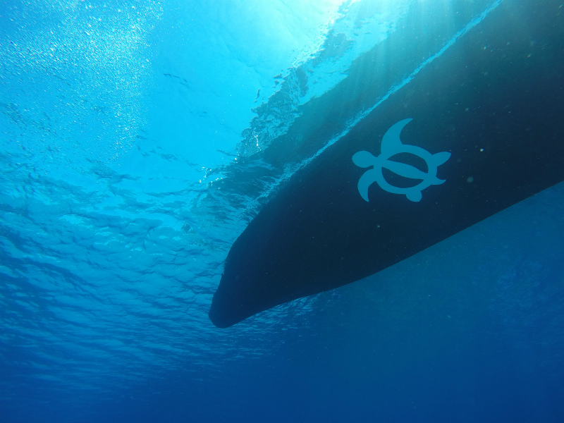 沖縄　慶良間　慶良間諸島　ダイビング　ボートダイビング　自社船　体験ダイビング