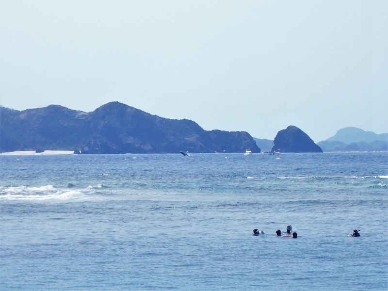 沖縄　慶良間　慶良間諸島　ダイビング　ボートダイビング　体験ダイビング　自社船