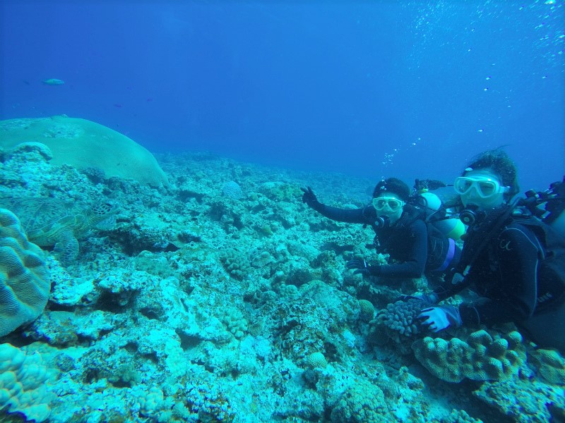 沖縄　宜野湾　ボートダイビング　沖縄本島　ダイビング