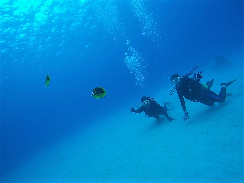沖縄　宜野湾　ボートダイビング　沖縄本島　ダイビング