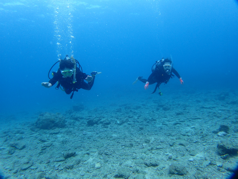 沖縄　宜野湾　ボートダイビング　沖縄本島　ダイビング