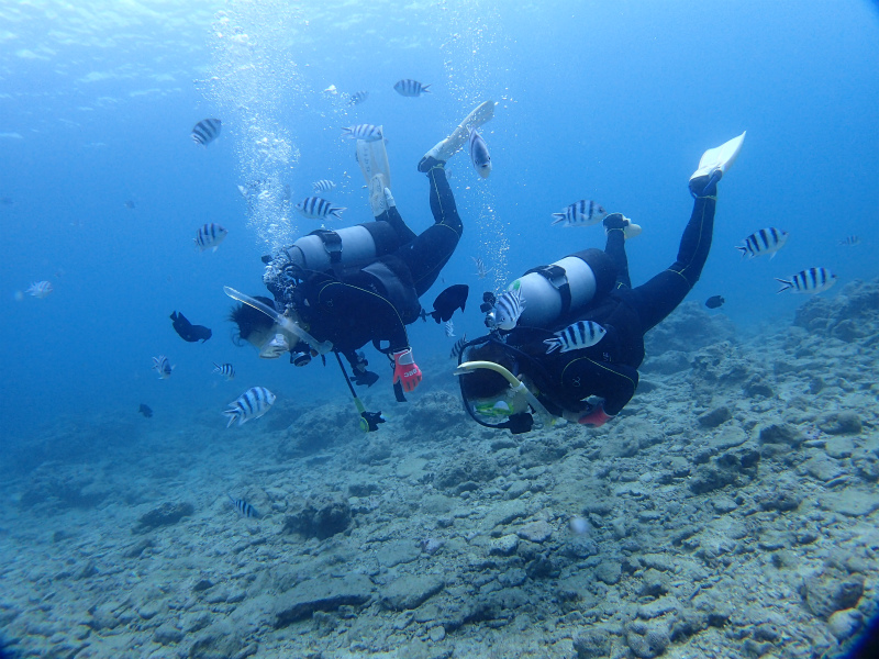 沖縄　宜野湾　ボートダイビング　沖縄本島　ダイビング