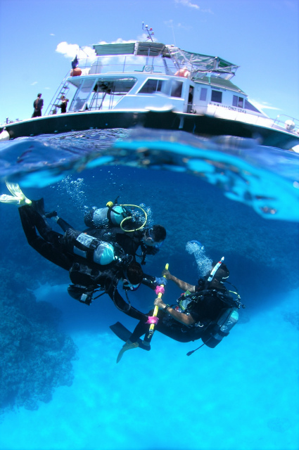 沖縄　慶良間　慶良間諸島　ダイビング　ボートダイビング　自社船