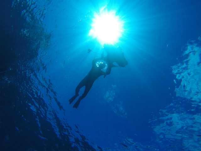 沖縄　慶良間　慶良間諸島　ダイビング　ボートダイビング　自社船