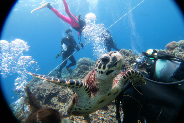 沖縄　慶良間　慶良間諸島　ダイビング　ボートダイビング　自社船