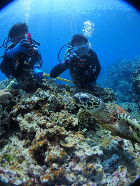 沖縄　慶良間　慶良間諸島　ダイビング　ボートダイビング　自社船