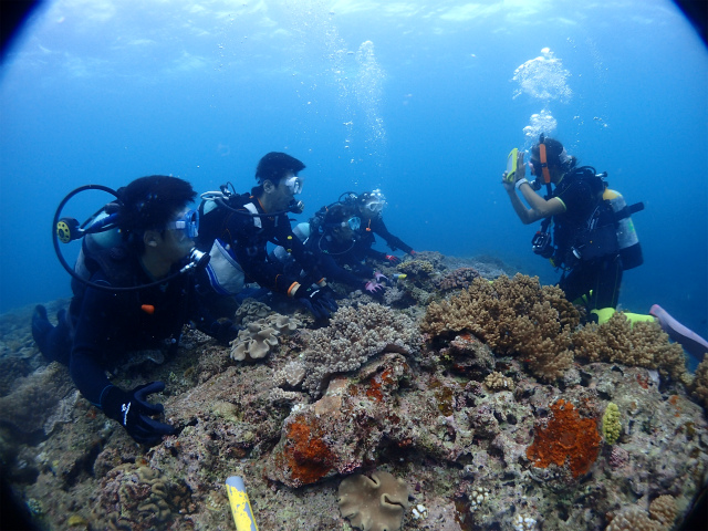 沖縄　ダイビング　宜野湾　体験ダイビング　ＦＵＮダイビング　ライセンス講習