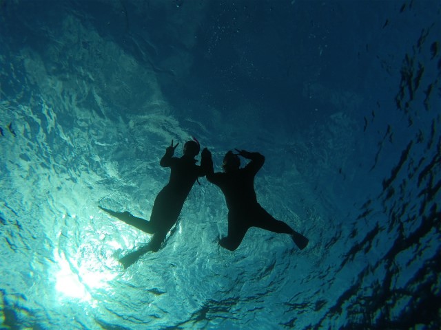 沖縄　ダイビング　慶良間　体験ダイビング　ウミガメ