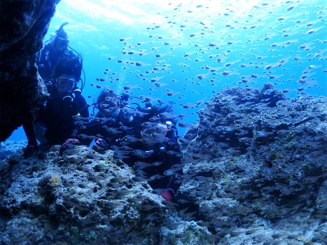 沖縄　チービシ諸島　ナガンヌ島　ダイビング　体験ダイビング　自社船