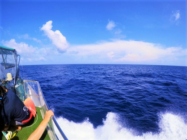 沖縄　沖縄本島　宜野湾　ボートダイビング　ダイビング